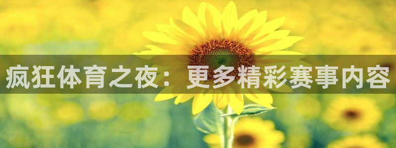 919直播体育：疯狂体育之夜：更多精彩赛事内容