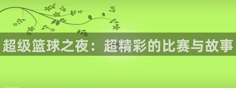919直播看球app：超级篮球之夜：超精彩的比赛与故事