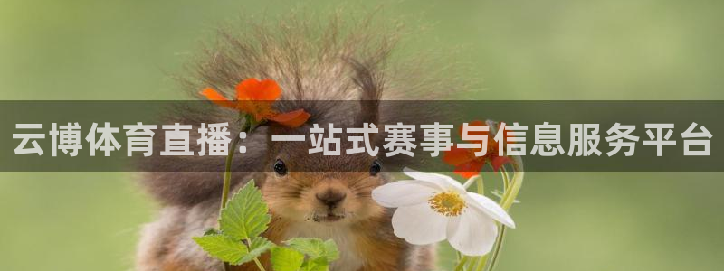 919直播看球下载：云博体育直播：一站式赛事与信息服务平台