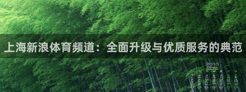 01zbtv直播体育919：上海新浪体育频道：全面升级与优质服务的典范