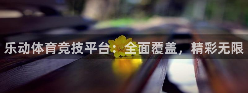 919直播官网：乐动体育竞技平台：全面覆盖，精彩无限