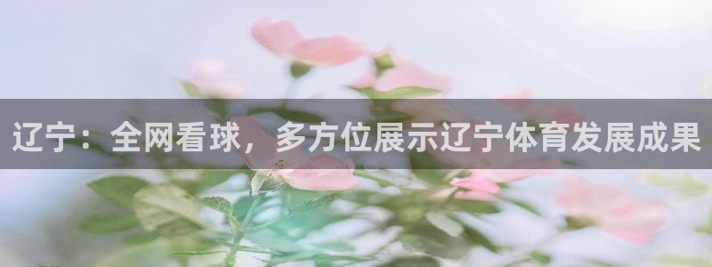 919直播吧体育：辽宁：全网看球，多方位展示辽宁体育发展成果