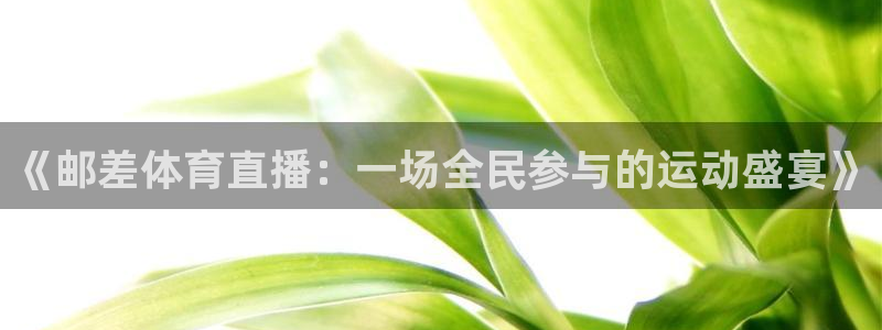足球直播919：《邮差体育直播：一场全民参与的运动盛宴》
