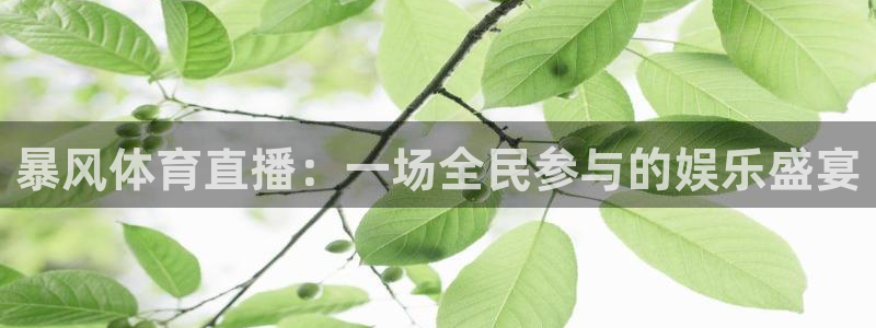 919体育直播安卓版：暴风体育直播：一场全民参与的娱乐盛宴