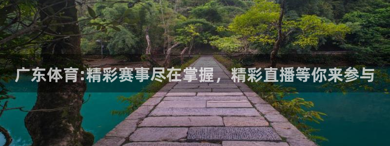 919直播吧体育：广东体育:精彩赛事尽在掌握，精彩直播等你来参与