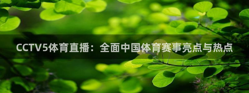 919足球直播：CCTV5体育直播：全面中国体育赛事亮点与热点