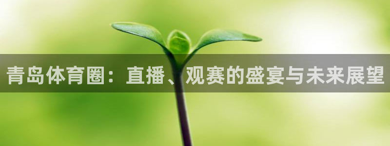 919体育在线直播官网：青岛体育圈：直播、观赛的盛宴与未来展望