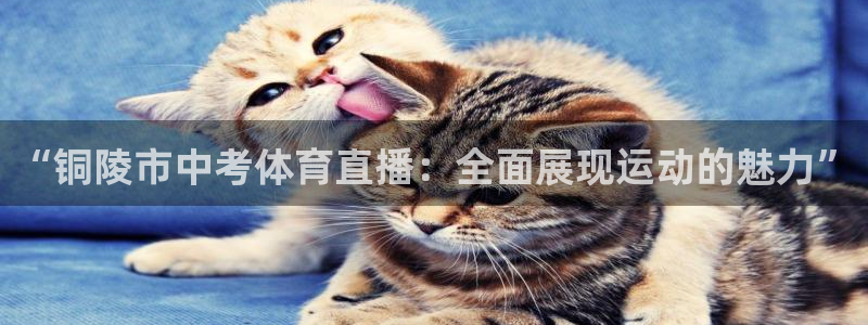 919体育nba直播安卓版：“铜陵市中考体育直播：全面展现运动的魅力”