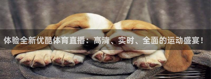919直播足球：体验全新优酷体育直播：高清、实时、全面的运动盛宴！