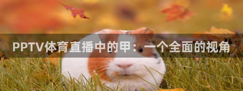 919体育nba直播安卓版：PPTV体育直播中的甲：一个全面的视角