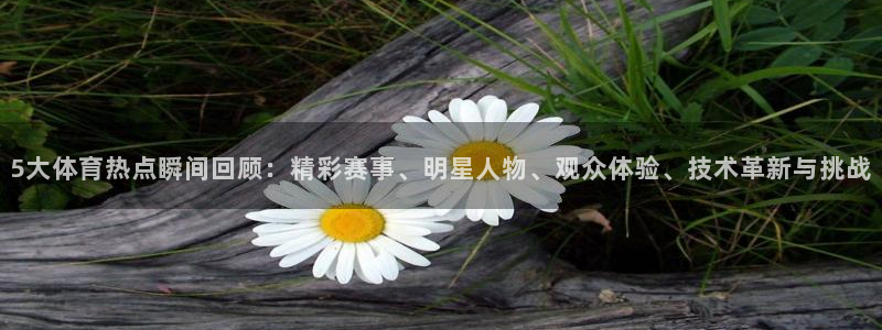919体育直播安卓版：5大体育热点瞬间回顾：精彩赛事、明星人物、观众体验、技术革新与挑战