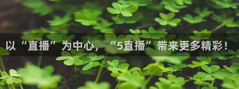919体育直播app：以“直播”为中心，“5直播”带来更多精彩！
