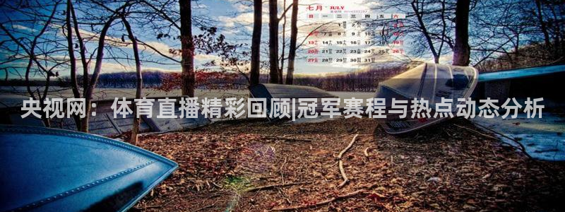919体育直播高清在线观看：央视网：体育直播精彩回顾|冠军赛程与热点动态分析